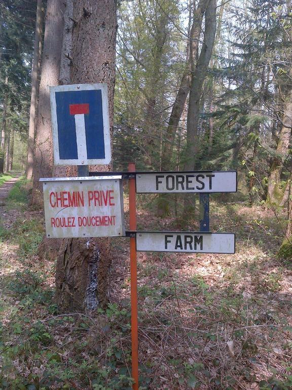 Forest Farm Bois-Jerome-Saint-Ouen Camera foto