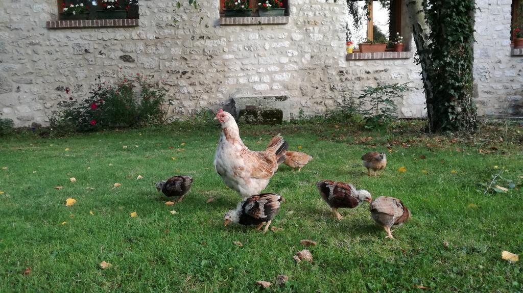 Forest Farm Bois-Jerome-Saint-Ouen Esterno foto