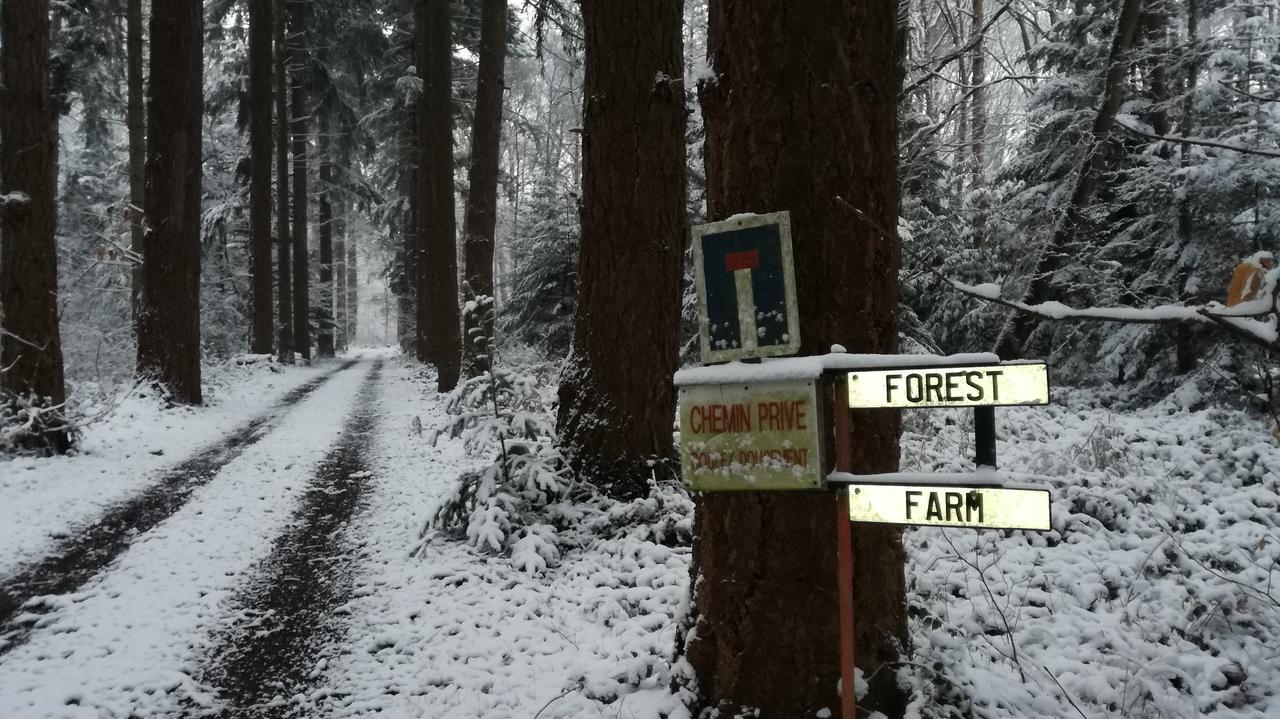 Forest Farm Bois-Jerome-Saint-Ouen Esterno foto